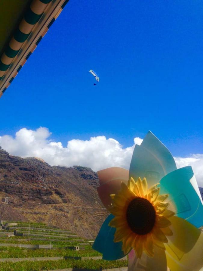 Puerto De NaosSunny Bird Puerto Naos, Sol Y Playaアパートメント エクステリア 写真